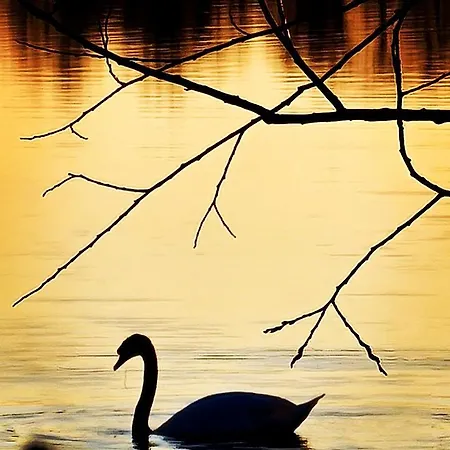 Hotell Nordischer Hof 3*