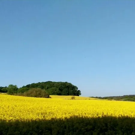 Nordischer Hof Hotell Krakow am See