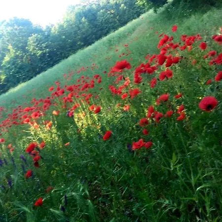 Nordischer Hof Hotell 3*